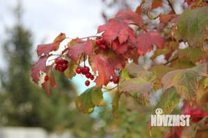 Дом 65м², 1-этажный, участок 6 сот.