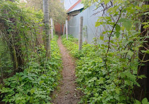 Дом 51м², 2-этажный, участок 2 сот.