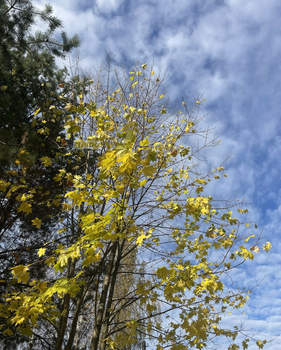 Дом 550м&sup2;, 3-этажный, участок 15 сот.  