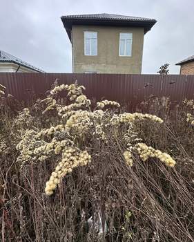 Дом 140м², 2-этажный, участок 6 сот.  