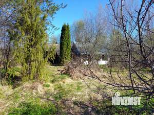 Дом 37м², 1-этажный, участок 42 сот.  