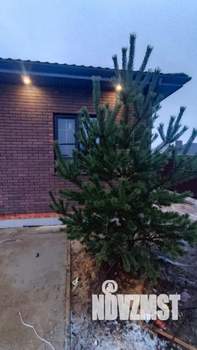 Дом 125м&sup2;, 1-этажный, участок 6 сот.  