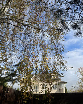 Дом 550м&sup2;, 3-этажный, участок 15 сот.  