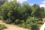Фото комнаты в аренду (4)
