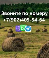 Фото комнаты в аренду (10)