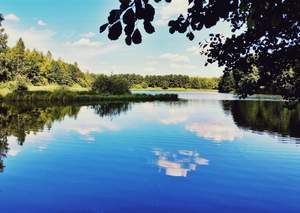 Студия квартира, на длительный срок, 29м2, 13/16 этаж
