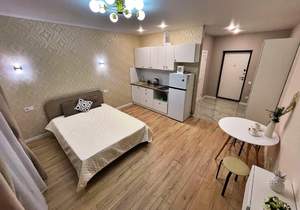 Студия квартира, на длительный срок, 29м2, 12/16 этаж