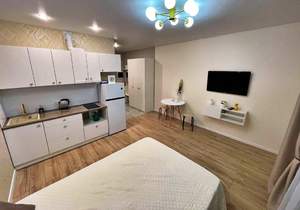 Студия квартира, на длительный срок, 29м2, 12/16 этаж