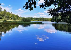 Студия квартира, на длительный срок, 29м2, 12/16 этаж