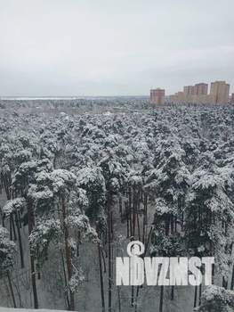 Студия квартира, посуточно, 28м2, 11/17 этаж