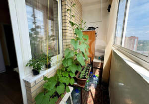 1-к квартира, вторичка, 42м2, 16/17 этаж