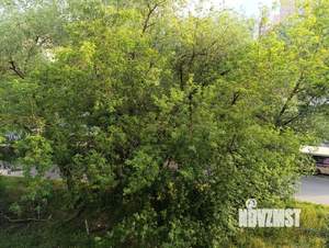 2-к квартира, вторичка, 44м2, 5/9 этаж