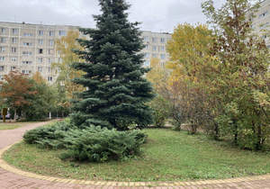 3-к квартира, вторичка, 62м2, 1/9 этаж